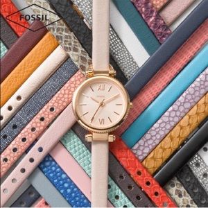 Fossil Georgia Mini Archival Series 